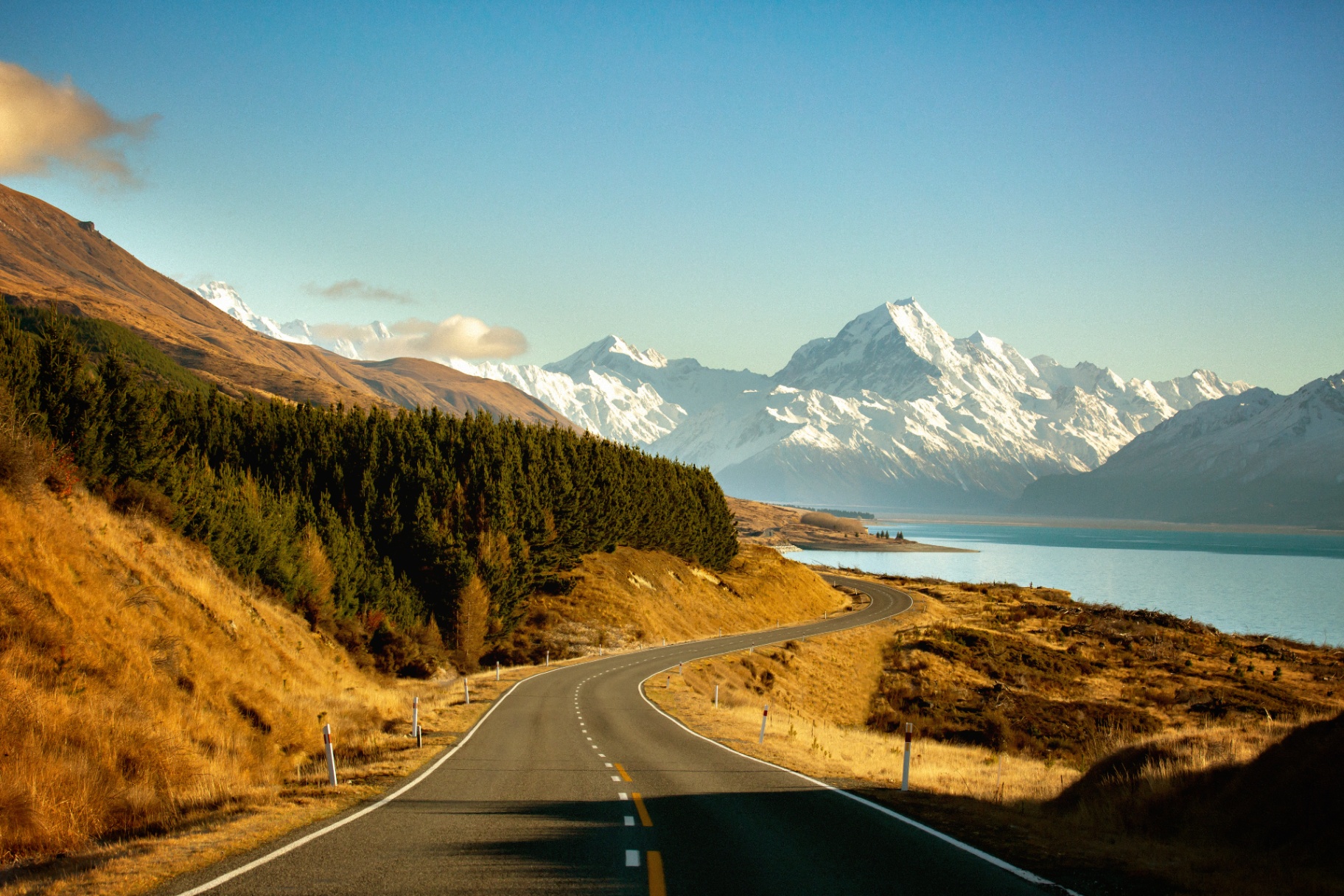 New Zealand landscape